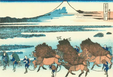 Campi di riso a Ono, provincia di Suruga